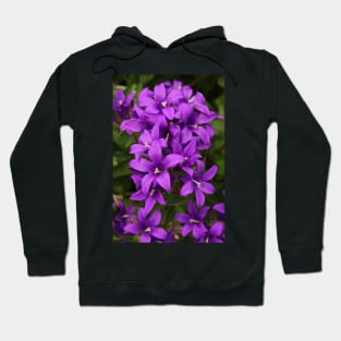 Clustered Bellflower Hoodie